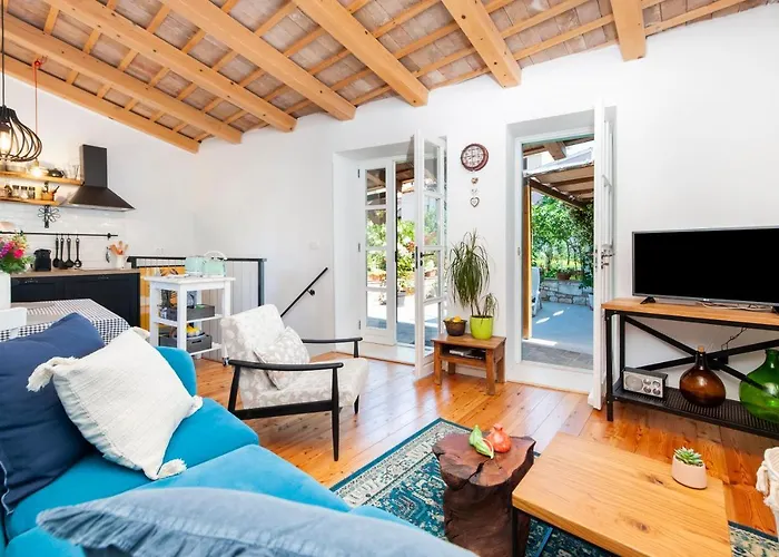Apartment Delight City