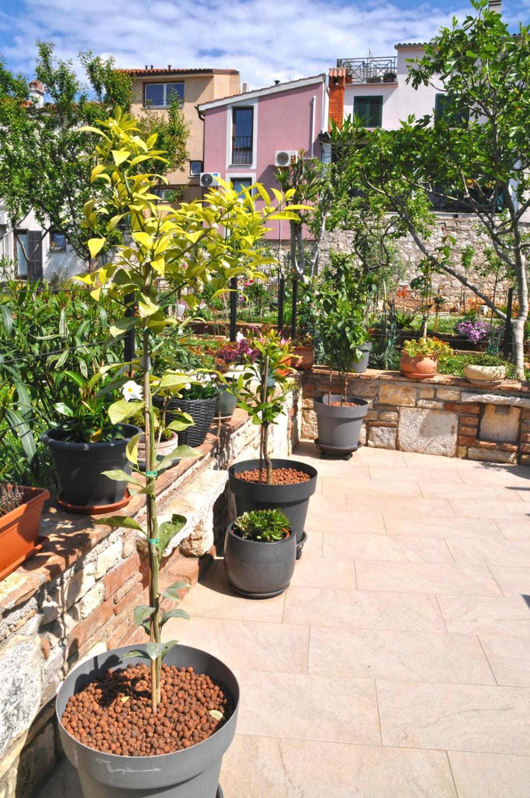 Appartamento Delight